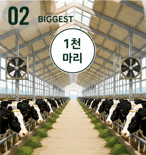 스마트 센서를 장착한 젖소 두 마리 — 최대