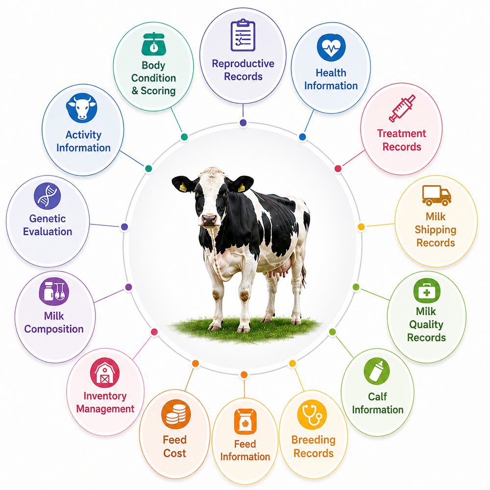 A diagram of dairy big-data collection items centered on the cow: insemination records, breeding records, calf info, biometric info, veterinary records, milking data, testing results, feeding, husbandry costs, herd management, shipment records, pedigree, genomic evaluation, and body weight/condition (BCS).